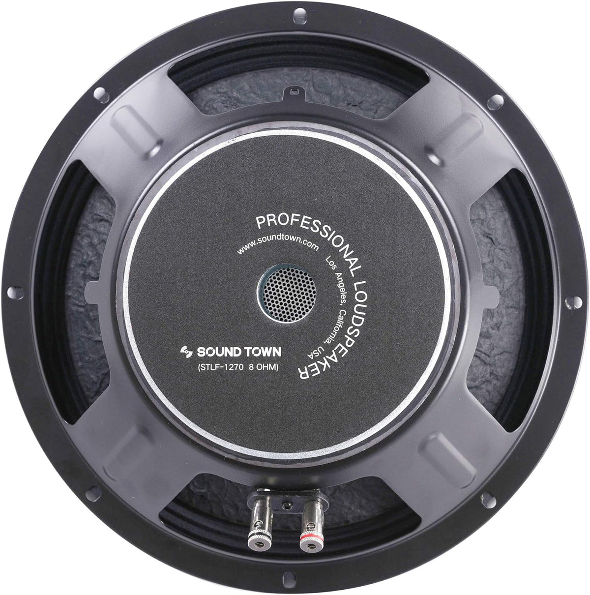 12" 300 Watts Raw Woofer Speaker, Pack of 2 R40232