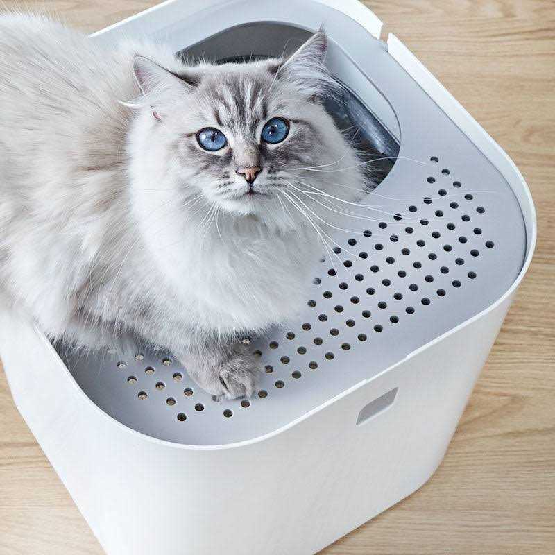 Litter Box C613479