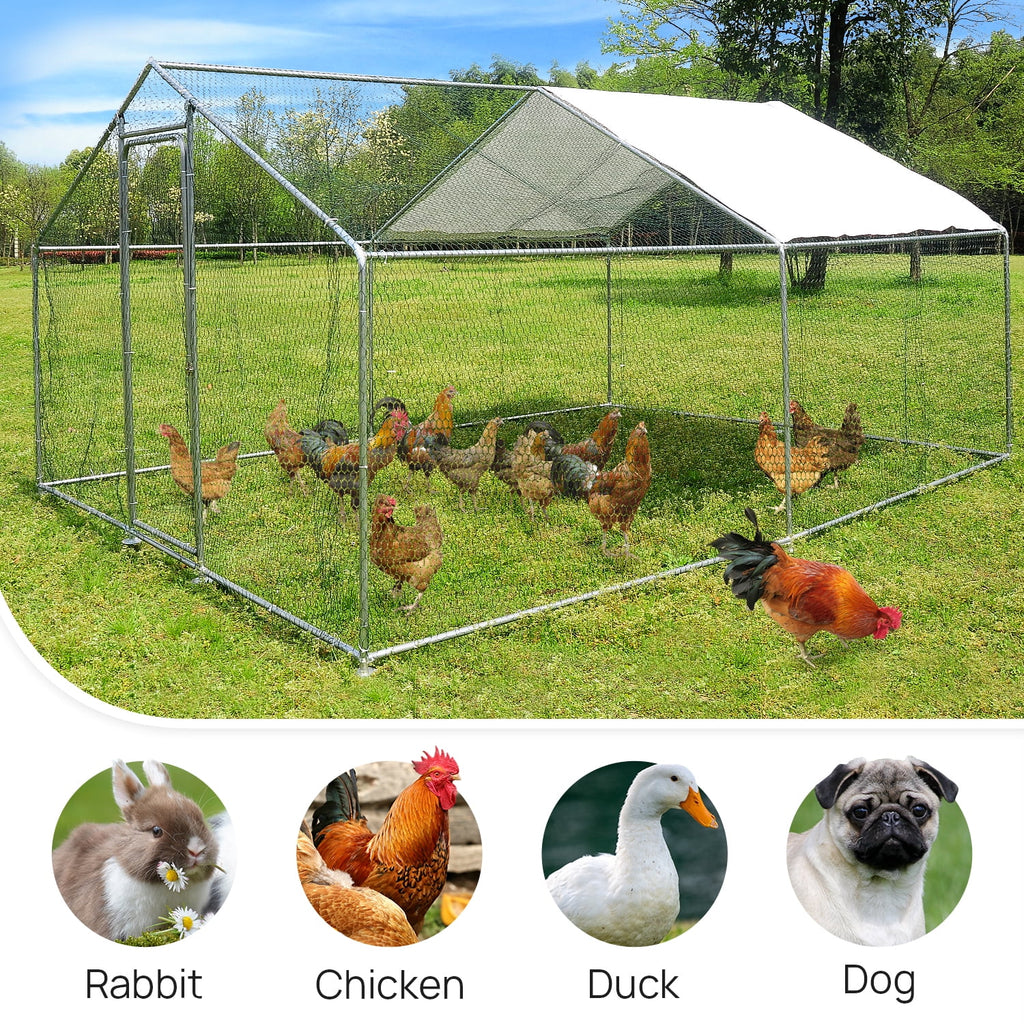 10x10ft Walk in Metal Chicken Coop T961461