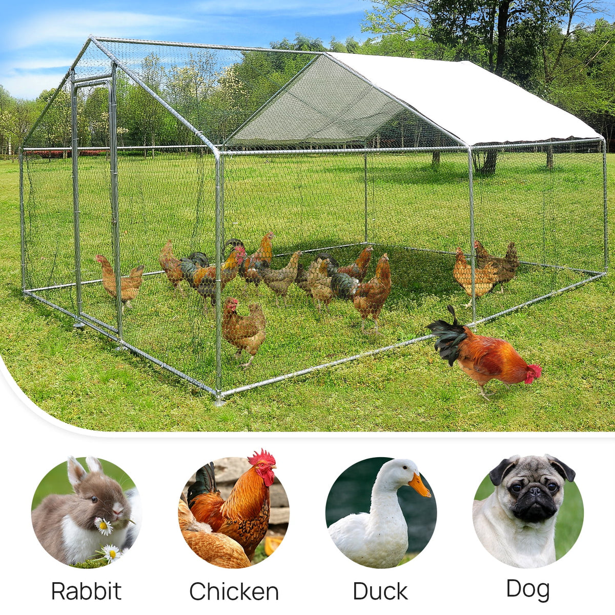 10x10ft Walk in Metal Chicken Coop T961461