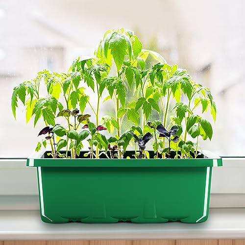 10 Packs Seed Starter Tray with Humidity Dome (120 Cells Total) E9389