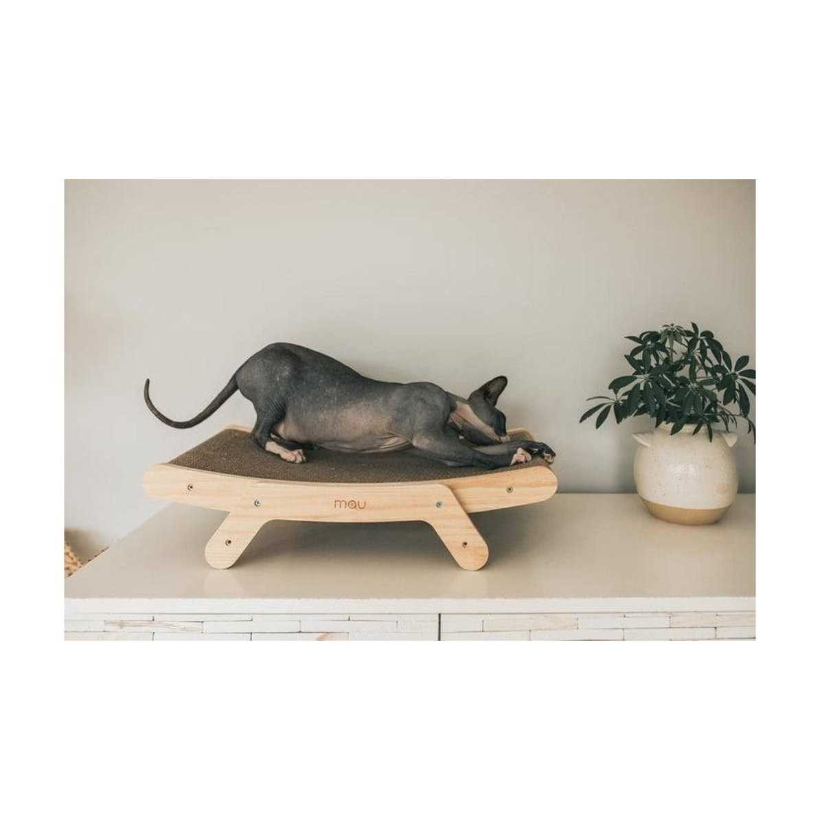Cat Scratcher Q2139
