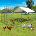10x10ft Walk in Metal Chicken Coop T961461