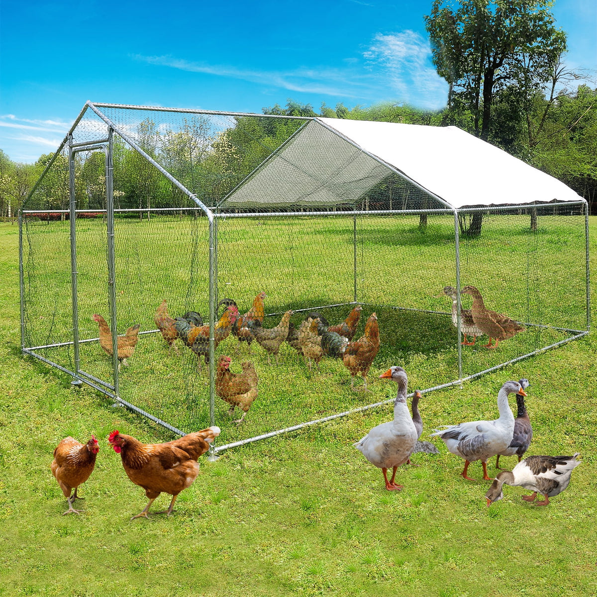 10x10ft Walk in Metal Chicken Coop T961461