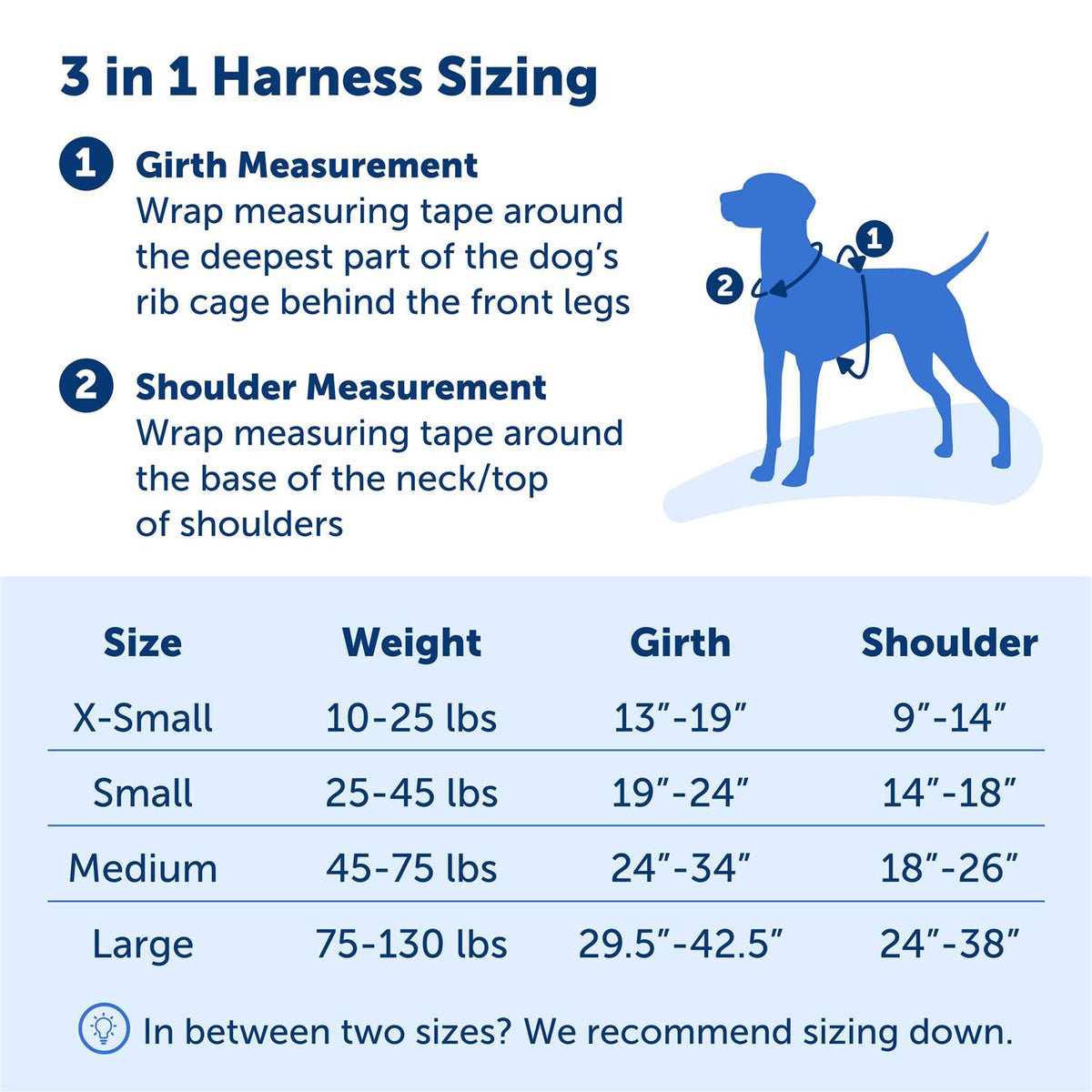 3 in 1 Harness R729