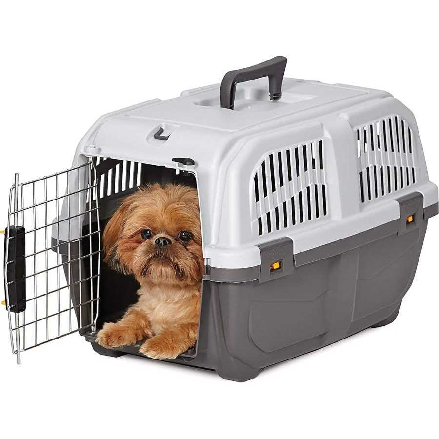 Plastic Travel Carrier B67996