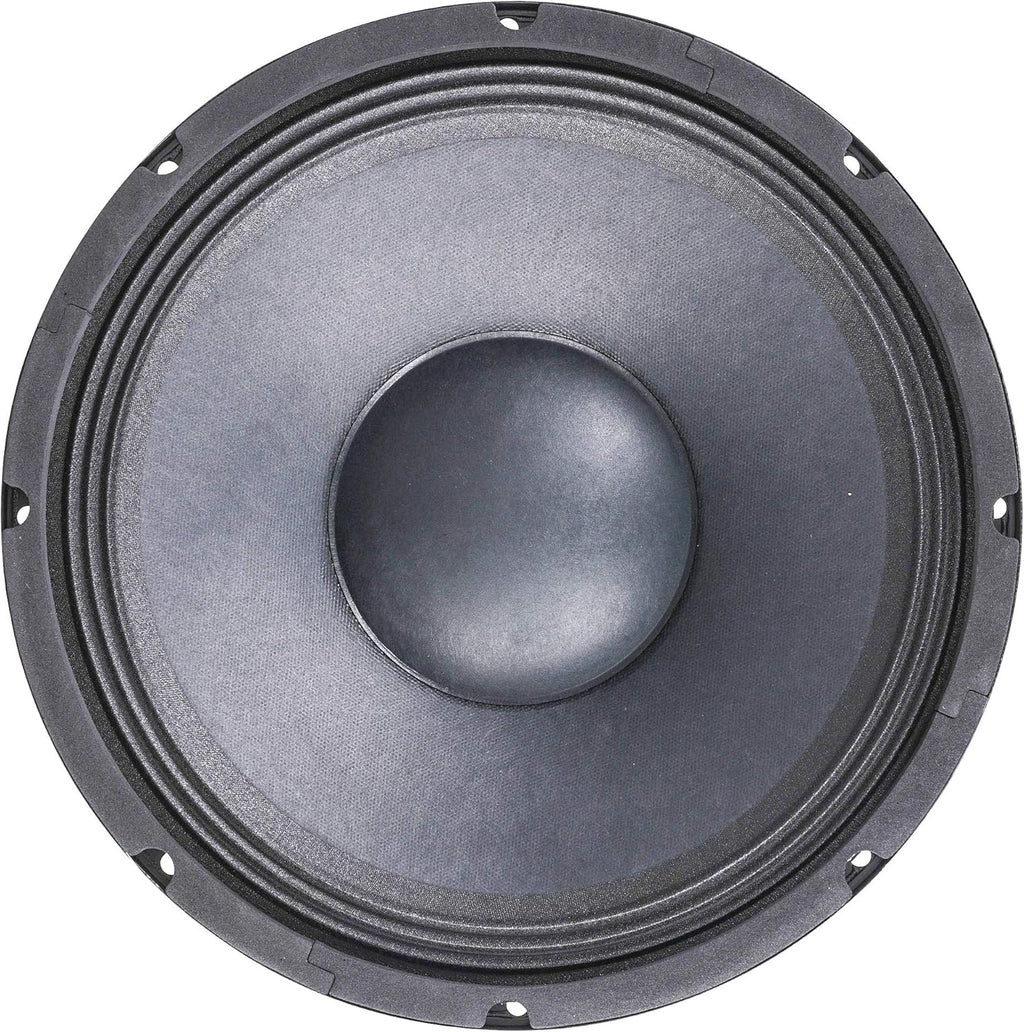 12" 300 Watts Raw Woofer Speaker, Pack of 2 R40232