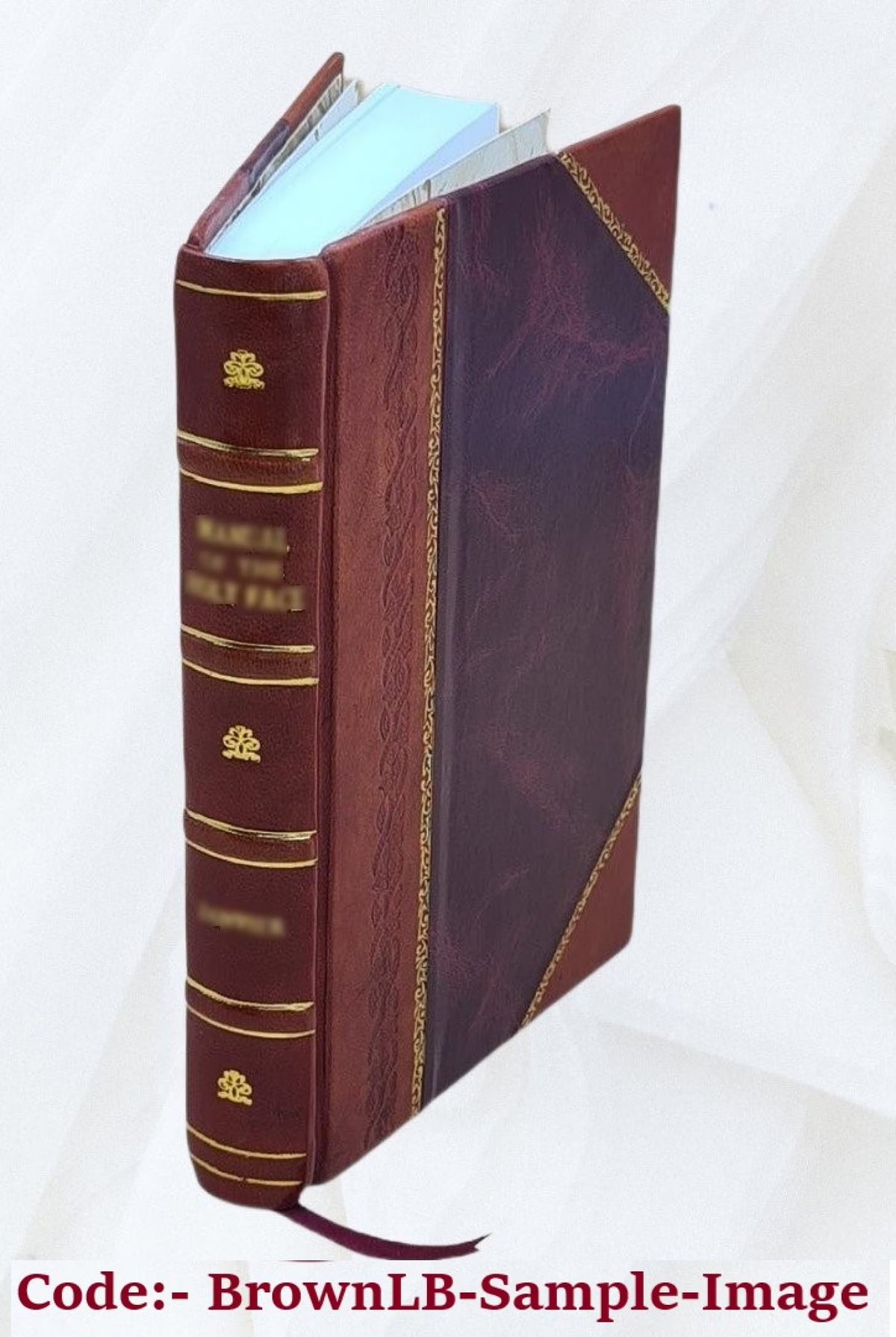 Leather Bound Book E8467