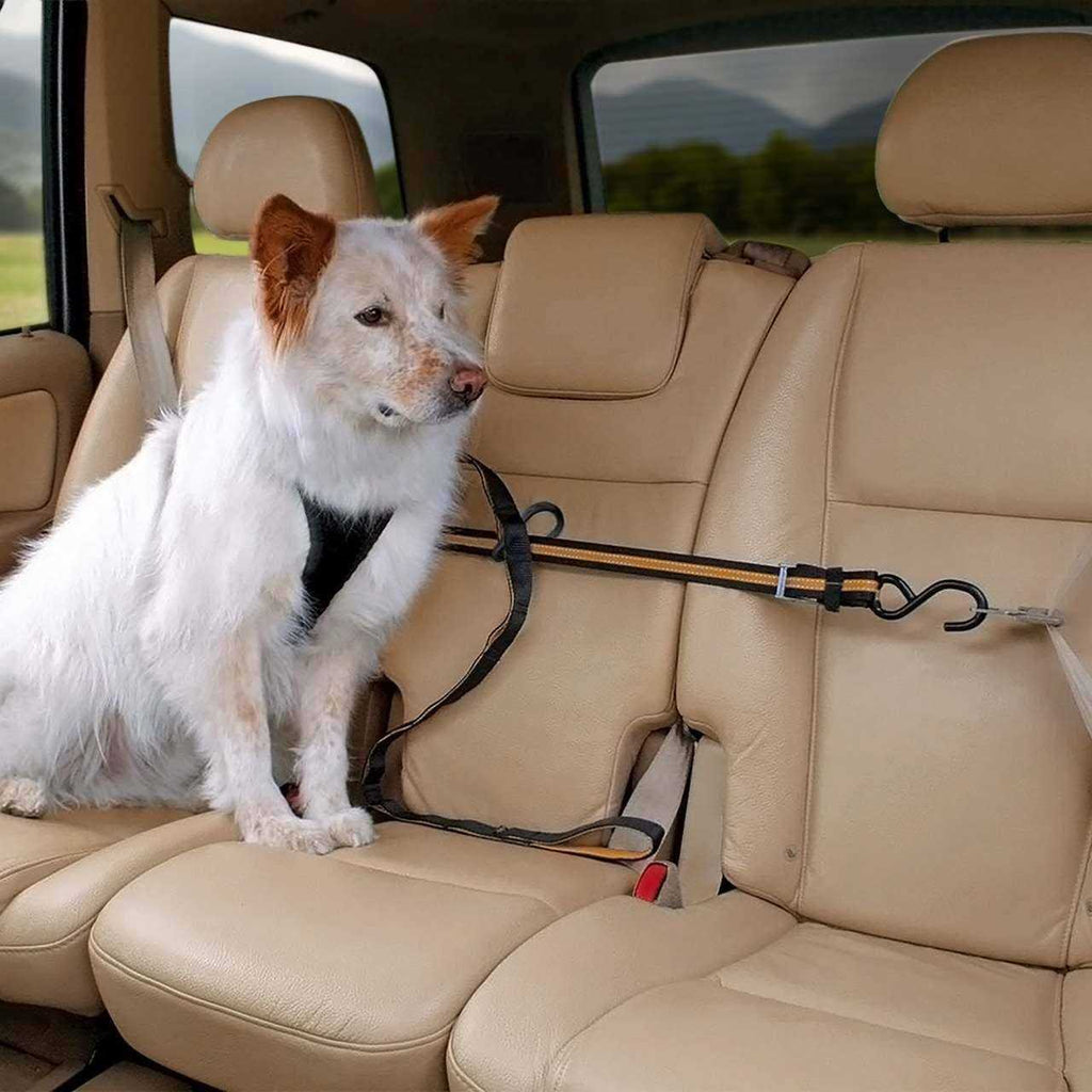 Auto Zip Line M73768