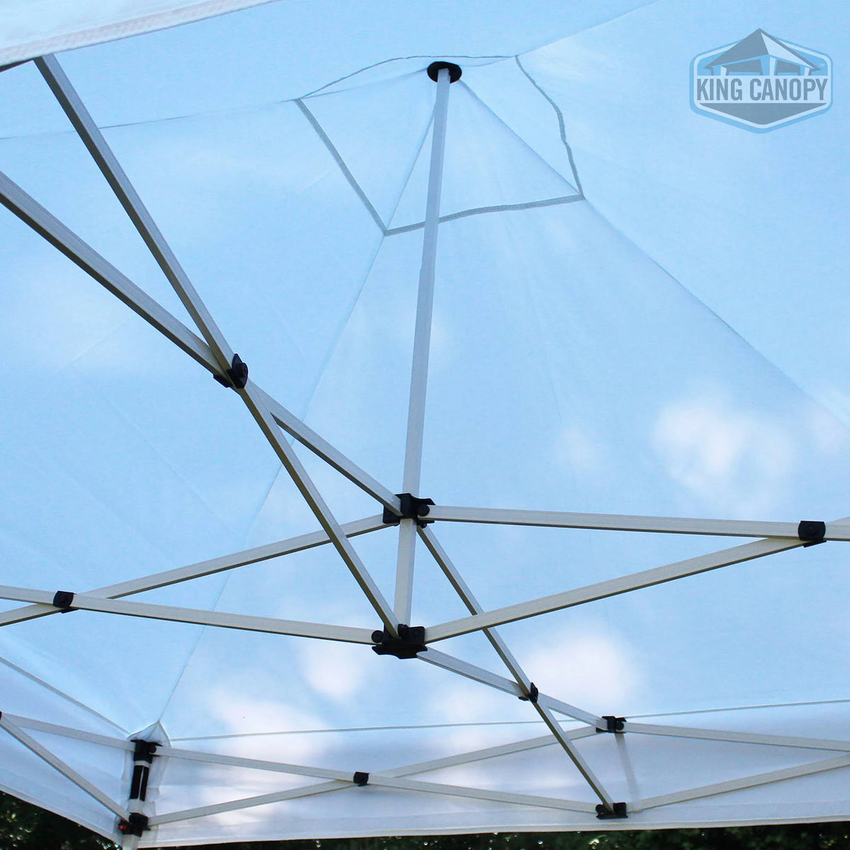 10x10 Instant Pop Up Canopy Tent with Black Cover N555