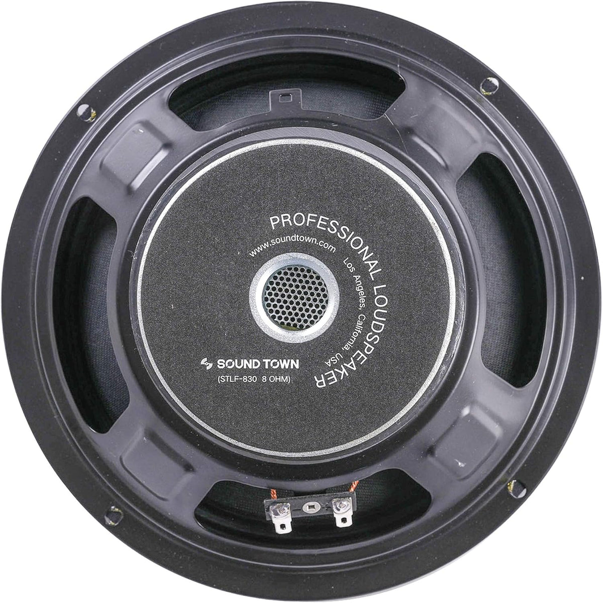 12" 300 Watts Raw Woofer Speaker, Pack of 2 R40232