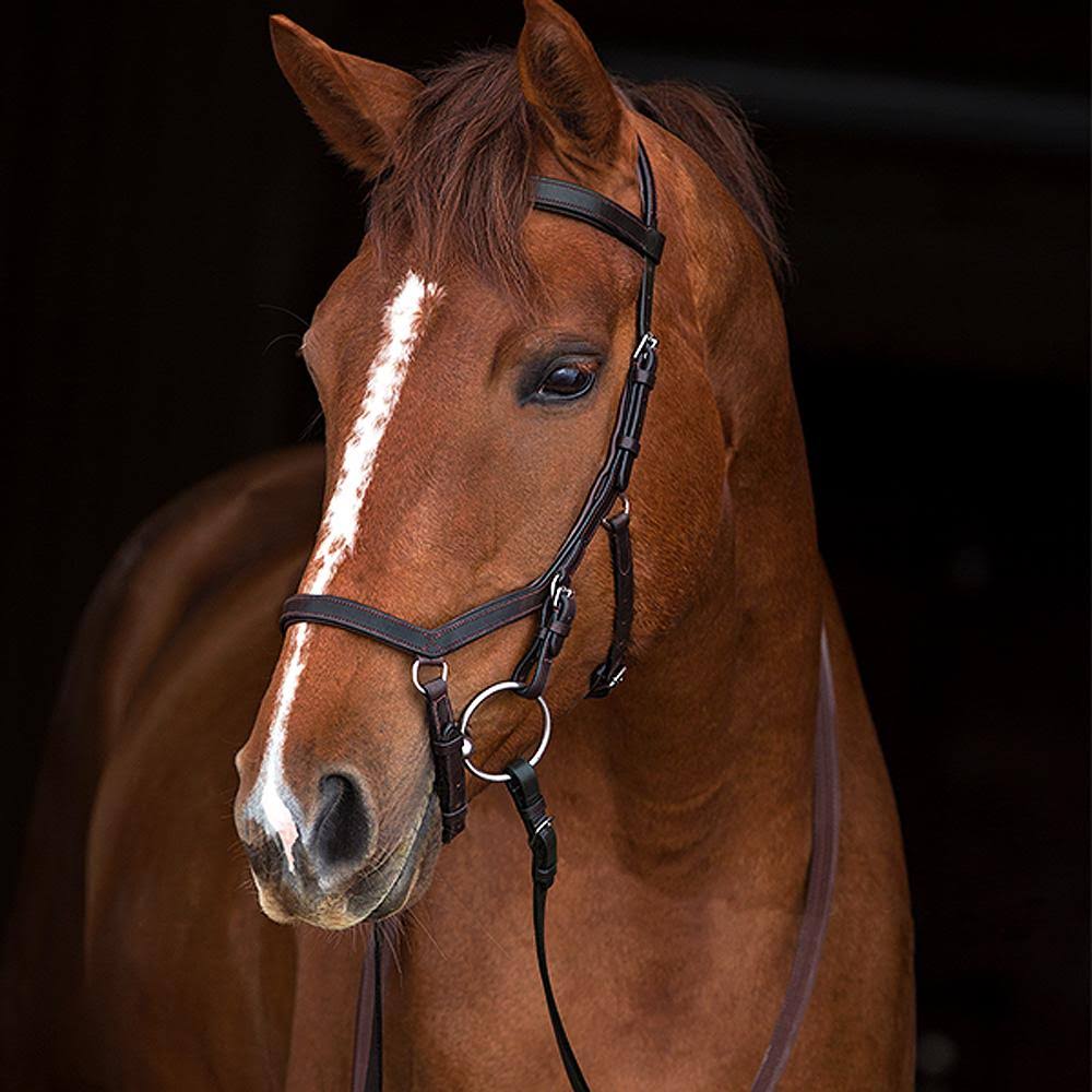 Competition Bridle D88864