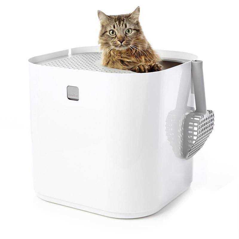 Litter Box C613479