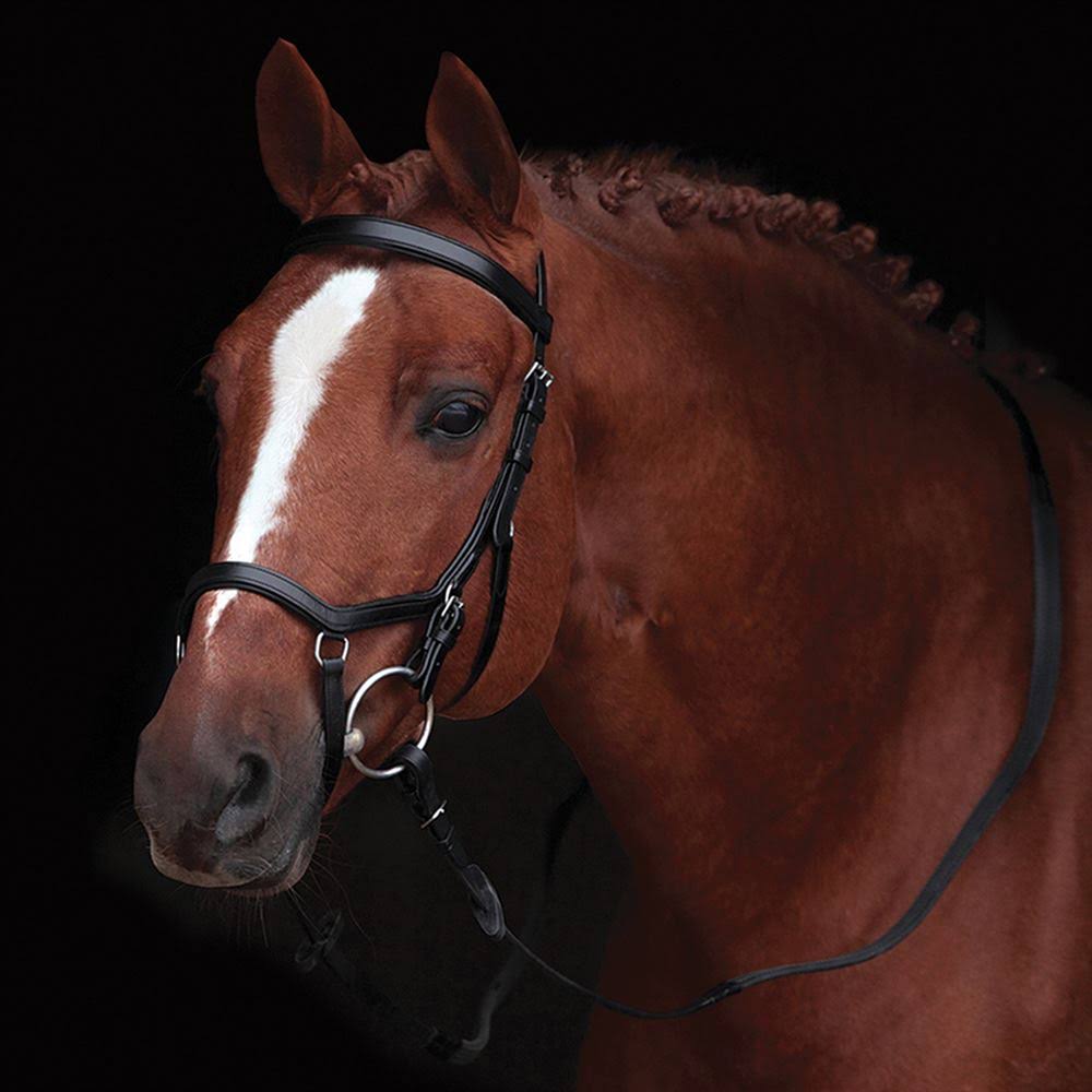 Competition Bridle D88864